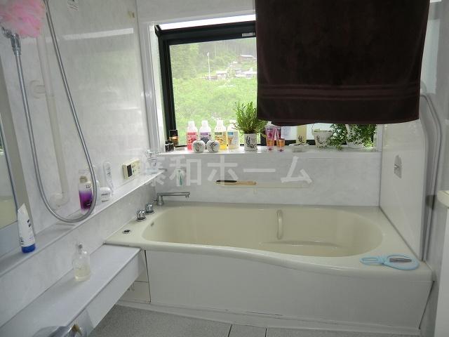 Bathroom. Indoor (July 2012) shooting
