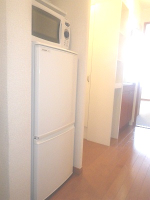 Other Equipment. Refrigerator & Microwave