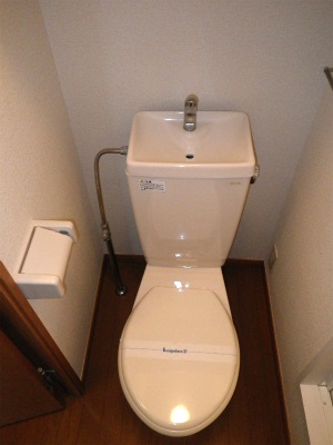 Toilet. Simple and clean easily