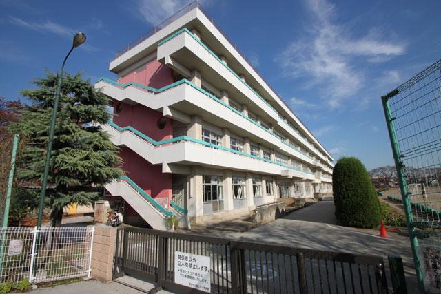 Primary school. Hanno Municipal Fujimi to elementary school 877m