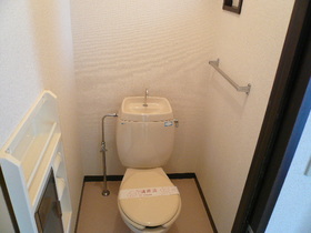 Toilet. reference image
