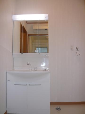 Other. Wash