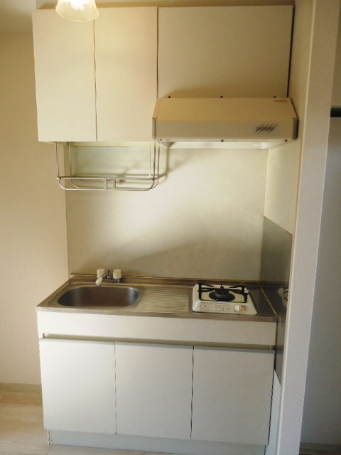 Kitchen. Single stove installation completed