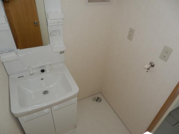 Wash basin, toilet. Exchange did vanities with shower
