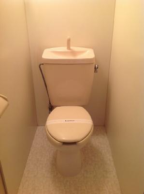 Toilet. Western-style flush toilet
