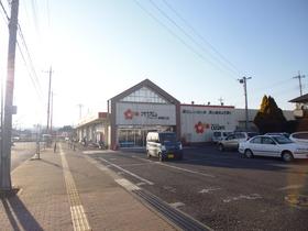 Supermarket. 500m to Ozamu (super)