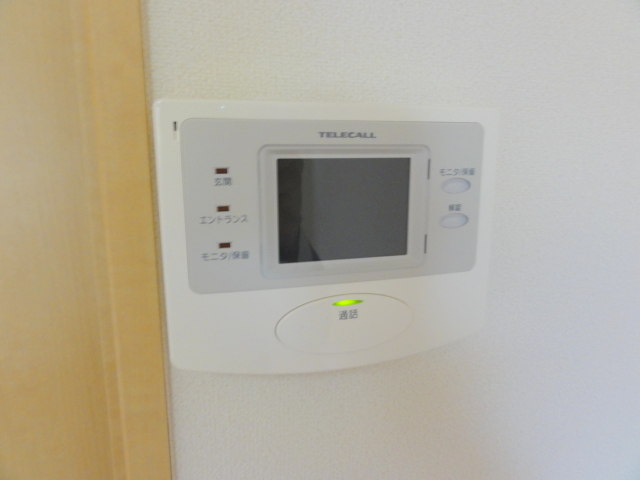 Security. Monitor with intercom