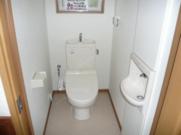 Toilet. It was toilet exchange