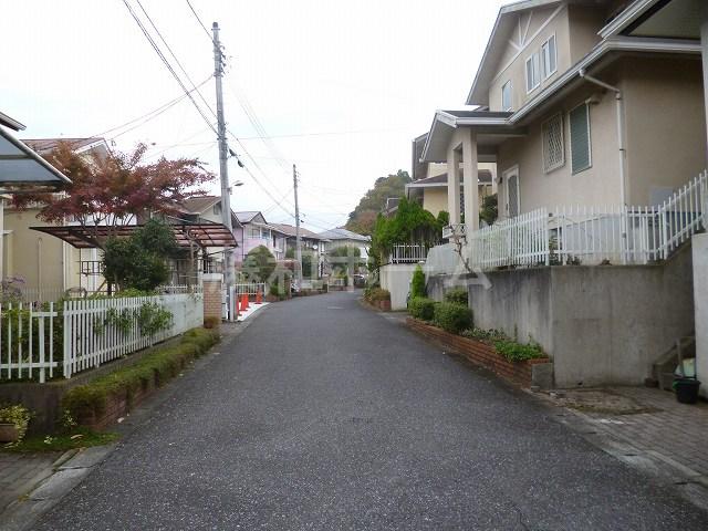 Local photos, including front road. Local (11 May 2013) Shooting