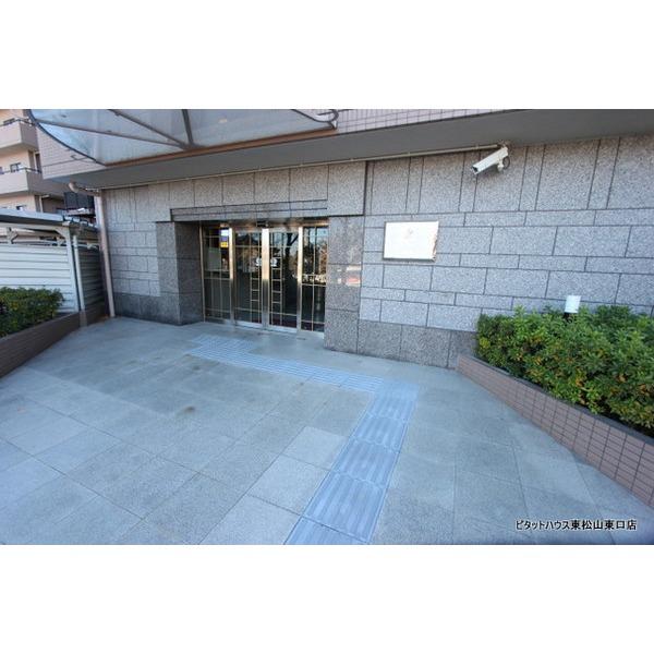 Entrance. Security peace of mind with a camera