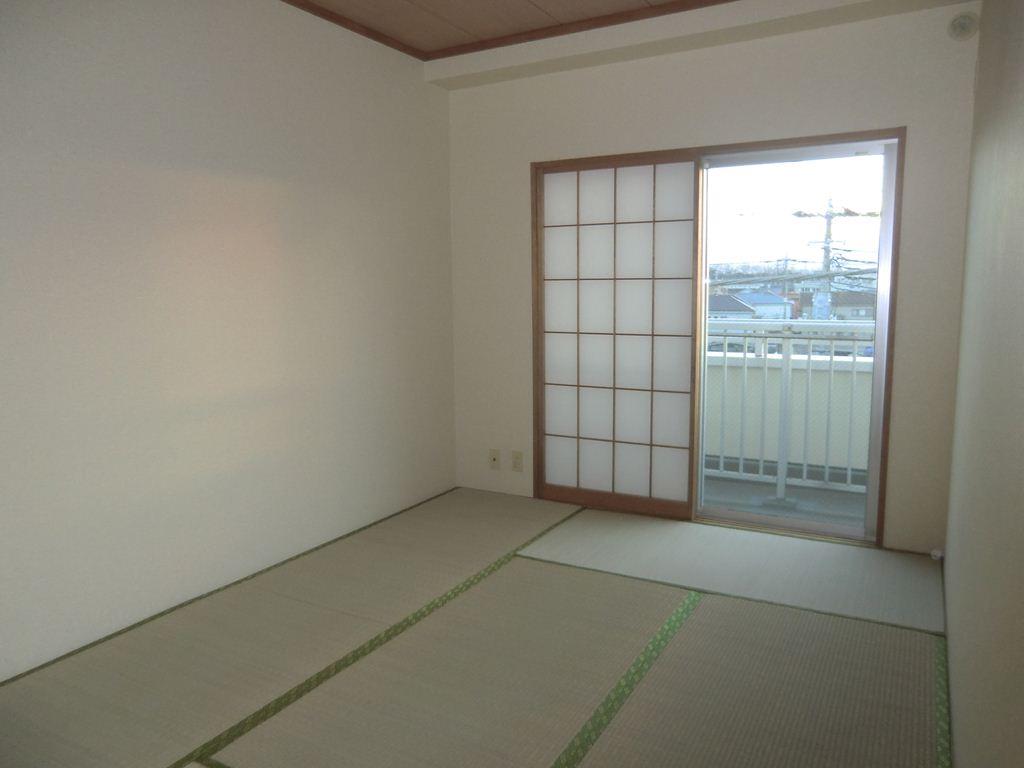 Other room space. Japanese style room