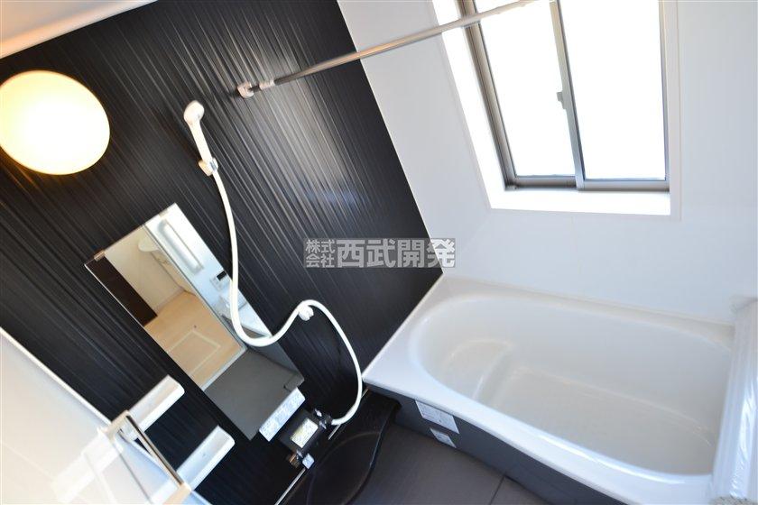 Bathroom. Indoor (10 May 2013) Shooting