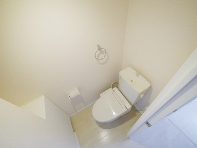 Toilet. The same type completed image