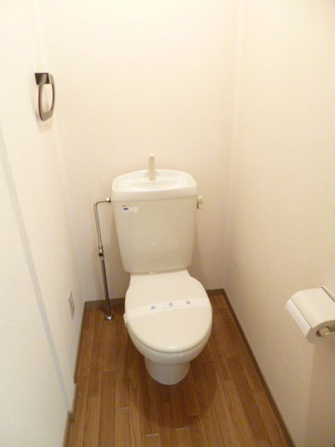 Toilet. Convenient paper & towel holder with