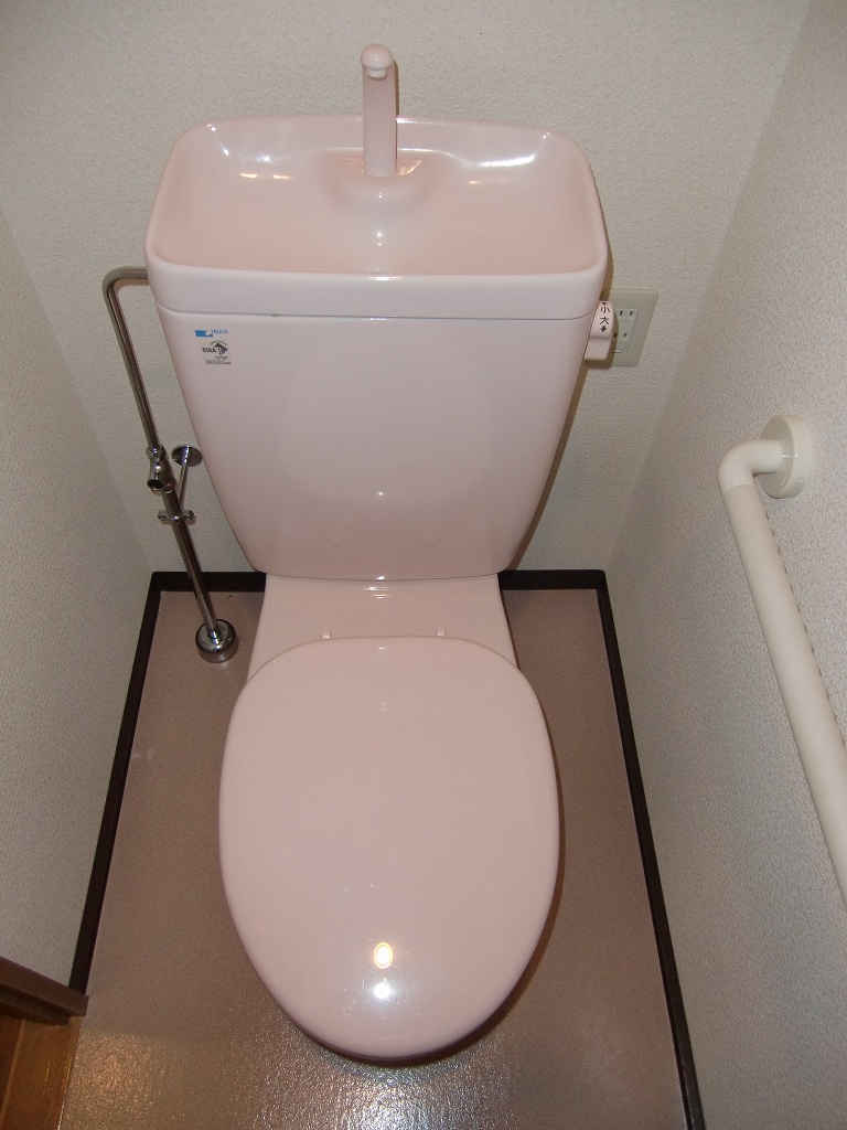 Toilet. Pink cute toilet
