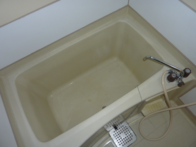 Bath. It is a tub of comfortable size.
