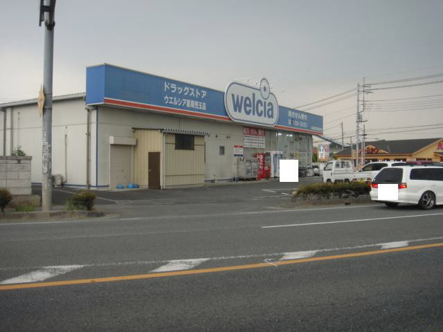 Dorakkusutoa. Uerushia Honjo Tomita shop 1229m until (drugstore)