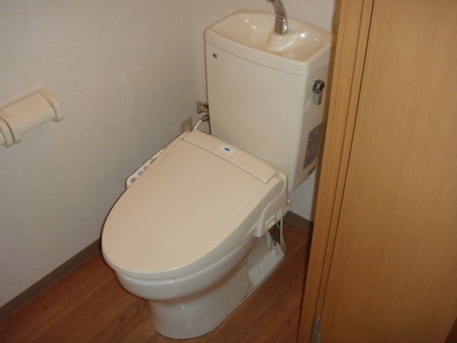 Toilet. Shower toilet