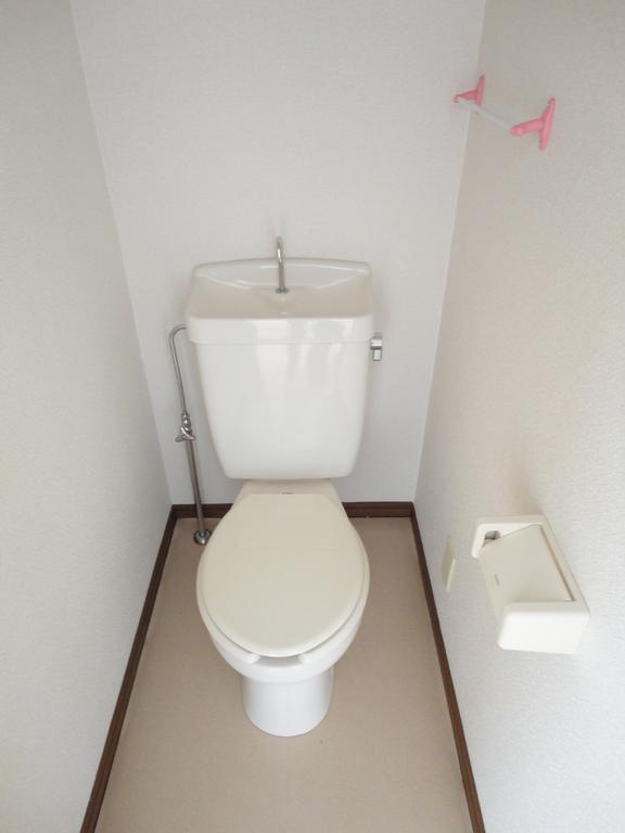 Toilet. Equivalent to another, Room photo
