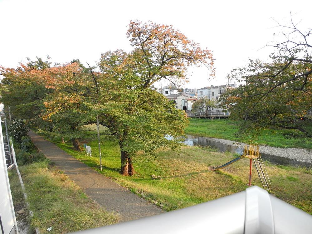 View photos from the dwelling unit. Bloom cherry blossoms in spring (November 2013) Shooting