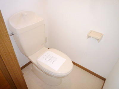 Toilet. Toilet