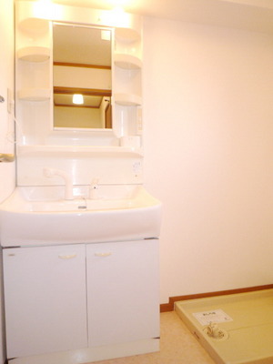 Washroom. Shampoo dresser