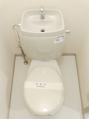 Toilet. Western-style toilet