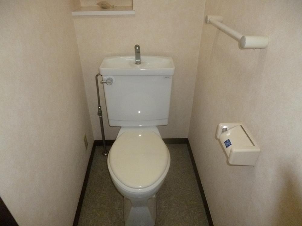 Toilet. Room (August 2013) Shooting