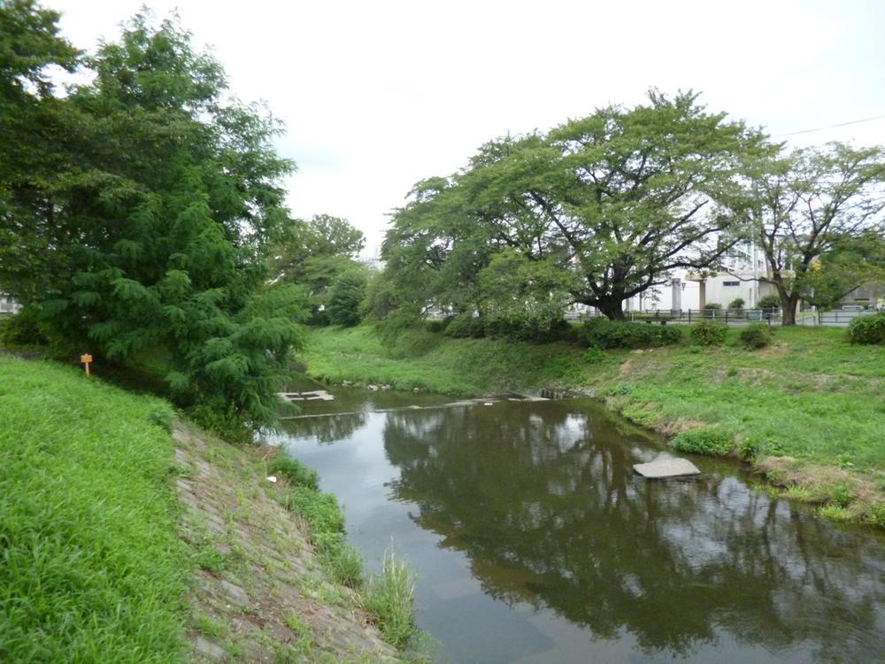 Other. Apartment near Kasumigawa is, Live carp, Cherry trees is a river of (August 2013) Shooting