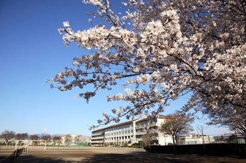 Junior high school. 1150m to Noda junior high school