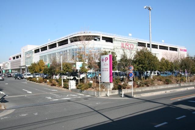 Other. Local neighborhood ion