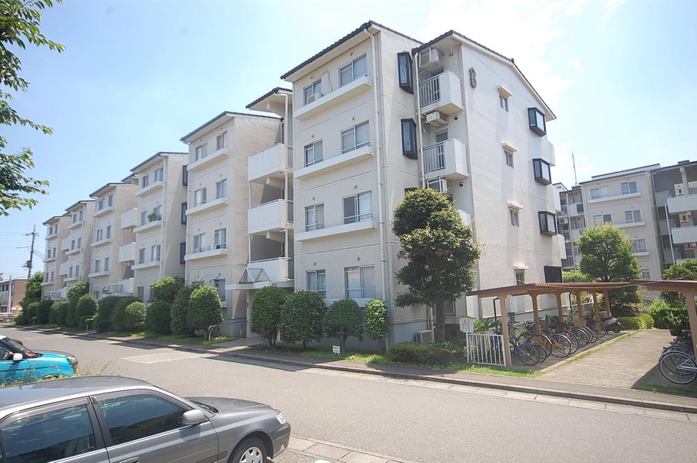 Local appearance photo. Local (July 2013) Shooting