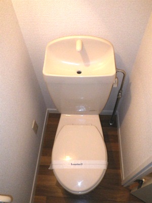 Toilet. Simple and a clean toilet (^ v ^)