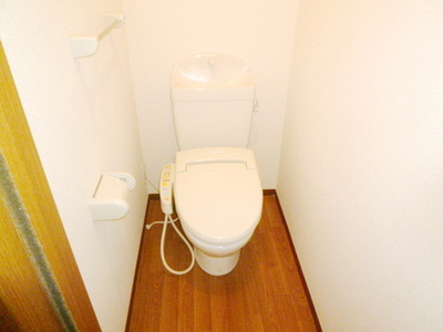 Toilet. Warm water washing toilet seat