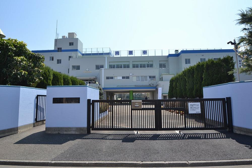 Junior high school. Mukaihara 1590m until junior high school