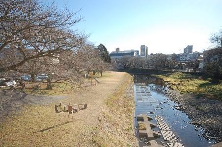 Other. Nearby Kasumigawa is seasonal