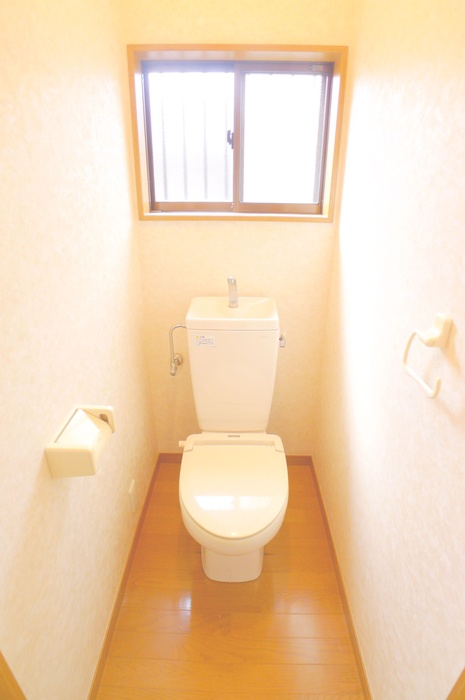 Toilet. Wide toilet