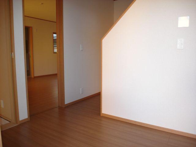 Other introspection. Local (24 December) shooting