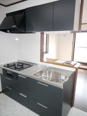 Kitchen. System kitchen