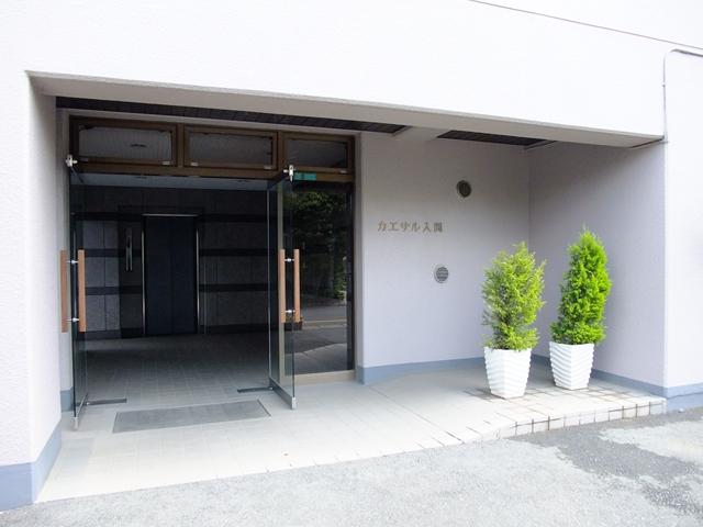 Entrance. Common areas