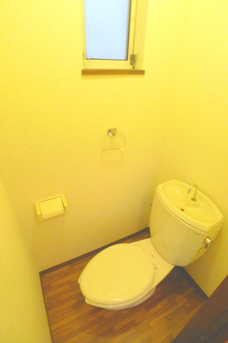 Toilet. Slowly can space