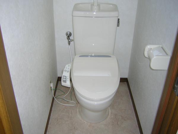 Toilet. Was a new exchange to the hot-water cleaning function toilet