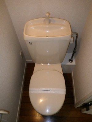 Toilet. Simple and clean easily