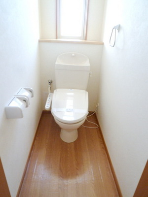 Toilet. Hot-water heating toilet seat