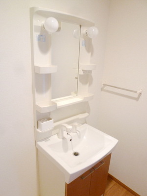 Washroom. Vanity shower