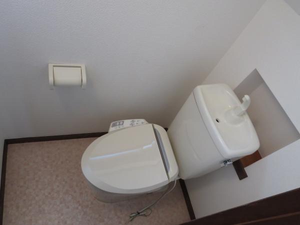 Toilet. Exchange to the hot-water cleaning function toilet