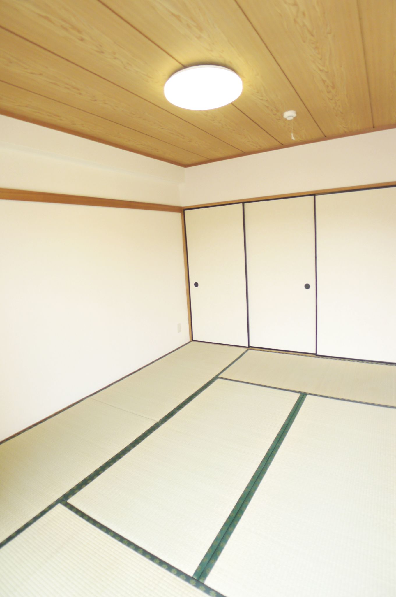 Living and room. Space of healing tatami