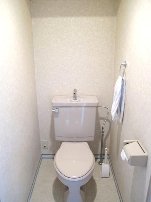 Toilet. Indoor (12 May 2013) Shooting