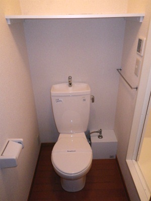 Toilet. The point is high shelf at the back of the toilet! 