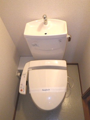 Toilet.  [toilet] Washlet-conditioned toilet